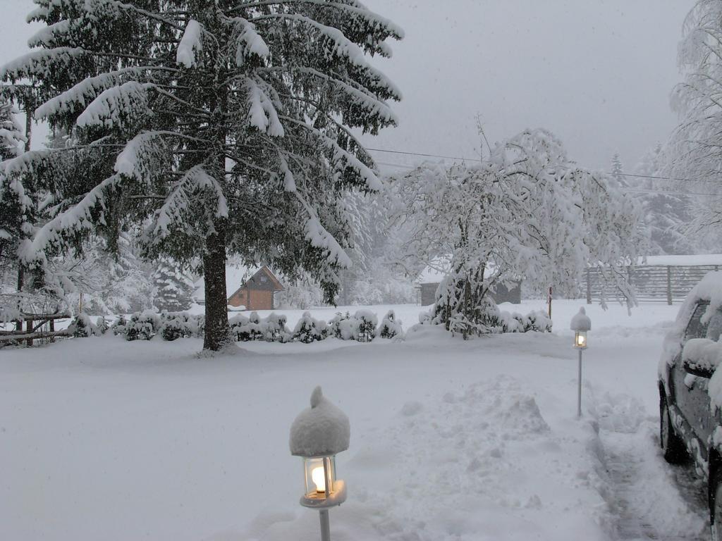 Holiday House Kaja Mojstrana Cameră foto